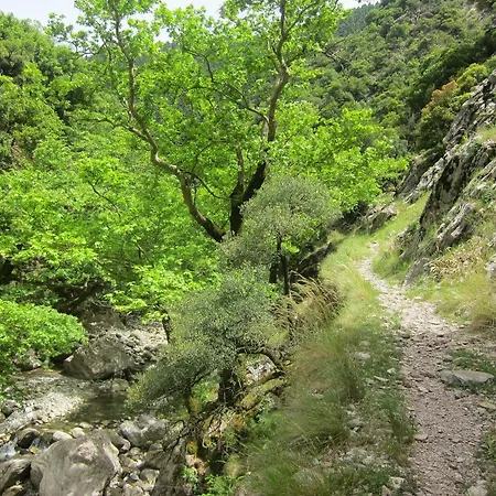Oreini Nafpaktia